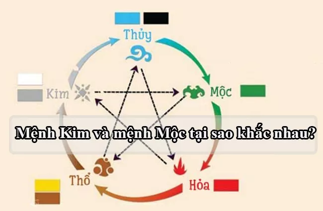 Giải đáp: Mệnh mộc hợp mệnh kim không? 4 mệnh mộc hợp mệnh kim không
