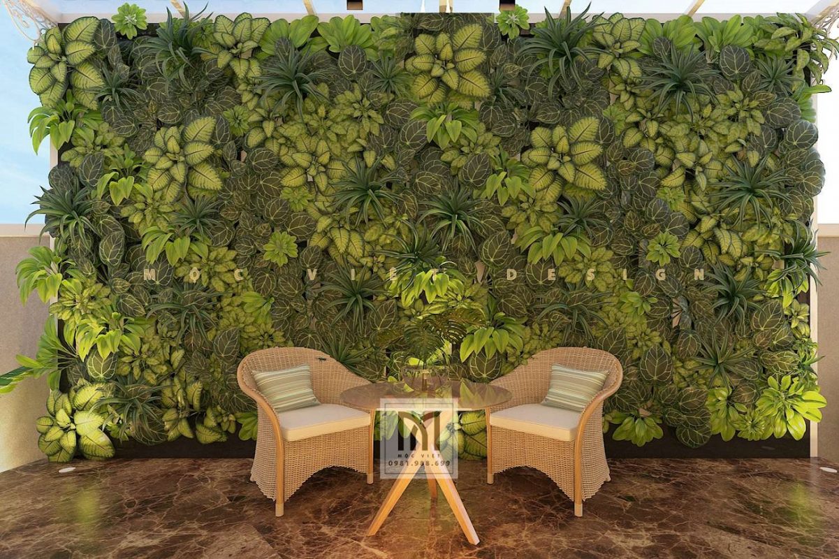 thiết kế kiến trúc villa